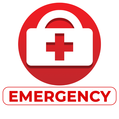 1 Emergency Button (854x480)